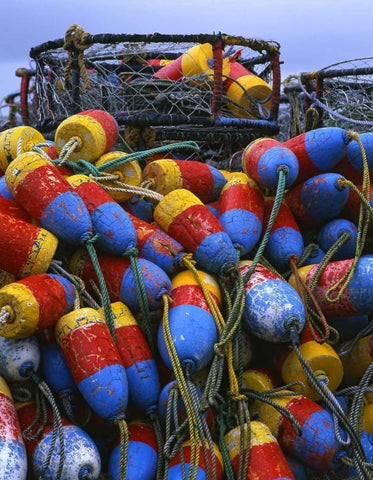 Oregon, Newport Crab rings and floats on dock White Modern Wood Framed Art Print with Double Matting by Terrill, Steve