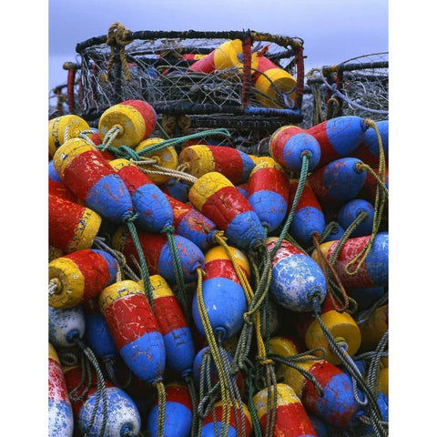 Oregon, Newport Crab rings and floats on dock Black Modern Wood Framed Art Print by Terrill, Steve
