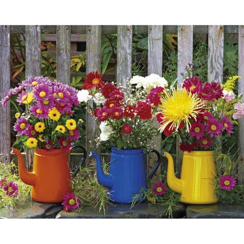 OR, Portland Antique coffeepots with flowers Black Modern Wood Framed Art Print with Double Matting by Terrill, Steve