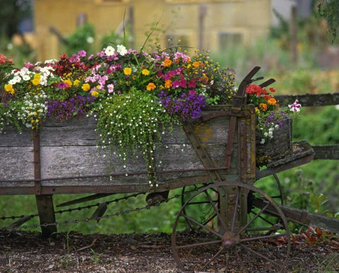 OR, Portland Farm spreader filled with flowers White Modern Wood Framed Art Print with Double Matting by Terrill, Steve
