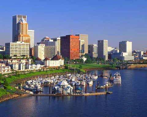 OR, Portland Downtown skyline and Marina White Modern Wood Framed Art Print with Double Matting by Terrill, Steve