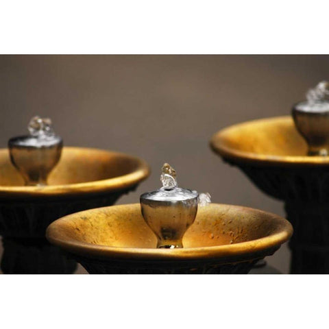 OR, Portland Benson Bubblers in downtown Gold Ornate Wood Framed Art Print with Double Matting by Terrill, Steve
