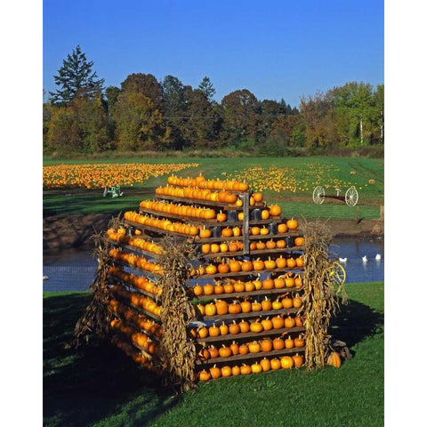 OR, Willamette Valley House made of pumpkins Gold Ornate Wood Framed Art Print with Double Matting by Terrill, Steve