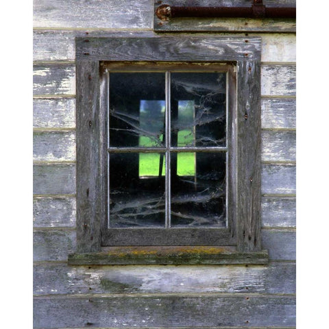 OR, Willamette Valley Old barn window Black Modern Wood Framed Art Print by Terrill, Steve