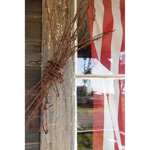 OR, Shaniko Flag in window next to barbed wire Black Modern Wood Framed Art Print with Double Matting by Ross, Nancy ,  Steve