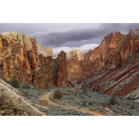 USA, Oregon View of Leslie Gulch Black Modern Wood Framed Art Print by Paulson, Don
