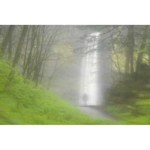 OR, Columbia Gorge Shrouded Latourell Falls Gold Ornate Wood Framed Art Print with Double Matting by Paulson, Don