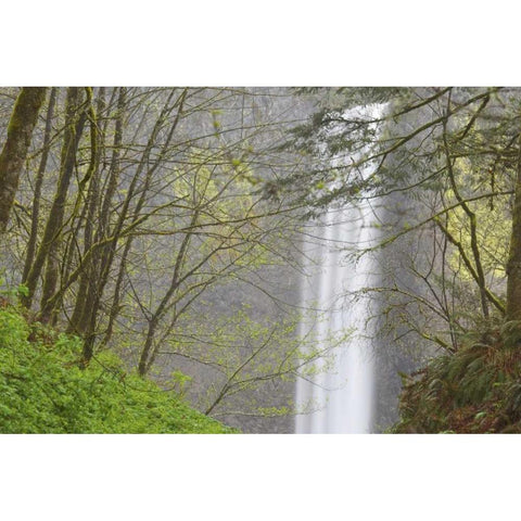 OR, Columbia River Gorge View of Latourell Falls Black Modern Wood Framed Art Print with Double Matting by Paulson, Don