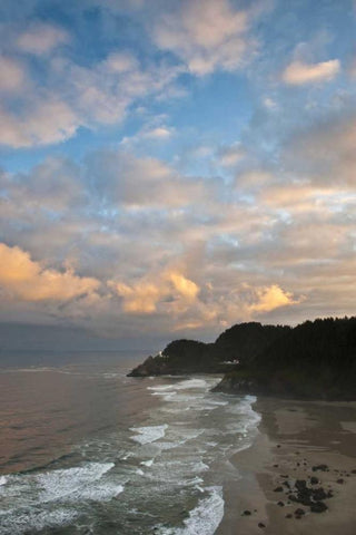 OR, Heceta Head Lighthouse in morning sky Black Ornate Wood Framed Art Print with Double Matting by Rotenberg, Nancy