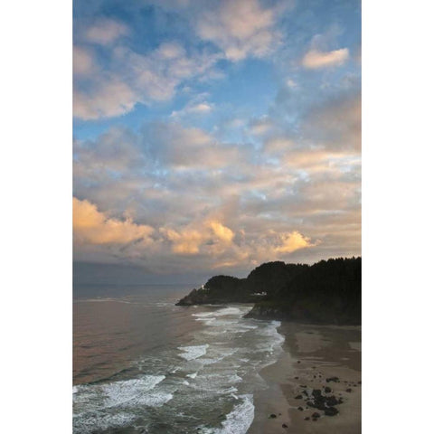 OR, Heceta Head Lighthouse in morning sky Black Modern Wood Framed Art Print by Rotenberg, Nancy