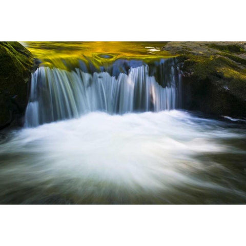Oregon Reflections in waterfall on Sweet Creek White Modern Wood Framed Art Print by Rotenberg, Nancy