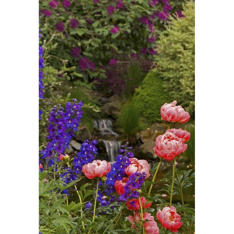 OR,Salem Flowers grow near brook Gold Ornate Wood Framed Art Print with Double Matting by Paulson, Don