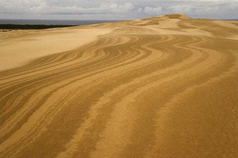 OR, Siuslaw NF, Umpqua Dunes Patterns in dunes White Modern Wood Framed Art Print with Double Matting by Paulson, Don
