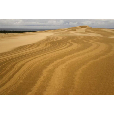 OR, Siuslaw NF, Umpqua Dunes Patterns in dunes Black Modern Wood Framed Art Print by Paulson, Don