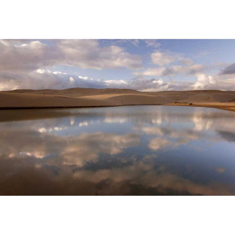 OR, Siuslaw NF, Umpqua Dunes Lake next to dunes White Modern Wood Framed Art Print by Paulson, Don