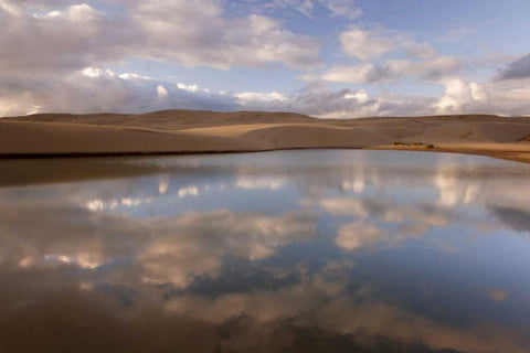 OR, Siuslaw NF, Umpqua Dunes Lake next to dunes White Modern Wood Framed Art Print with Double Matting by Paulson, Don