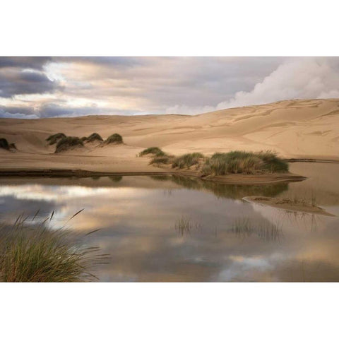 OR, Siuslaw NF, Umpqua Dunes Lake next to dunes Black Modern Wood Framed Art Print with Double Matting by Paulson, Don