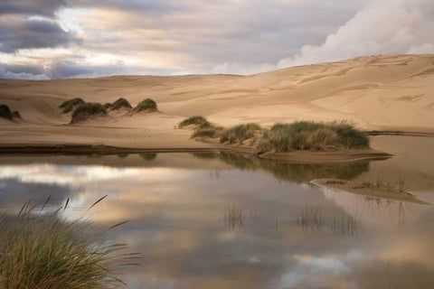 OR, Siuslaw NF, Umpqua Dunes Lake next to dunes Black Ornate Wood Framed Art Print with Double Matting by Paulson, Don