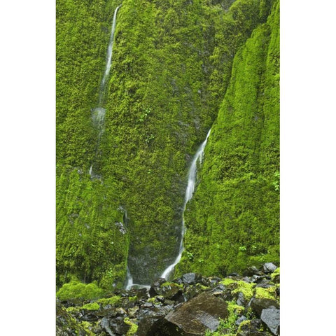 OR, Columbia Gorge Elowah Falls Trail Waterfall Black Modern Wood Framed Art Print by Paulson, Don