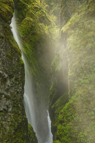 OR, Columbia Gorge Overlook of Elowah Falls White Modern Wood Framed Art Print with Double Matting by Paulson, Don