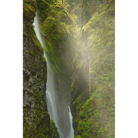 OR, Columbia Gorge Overlook of Elowah Falls Black Modern Wood Framed Art Print by Paulson, Don