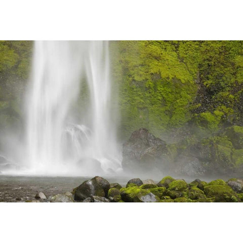 Oregon, Columbia River Gorge Elowah Falls Gold Ornate Wood Framed Art Print with Double Matting by Paulson, Don