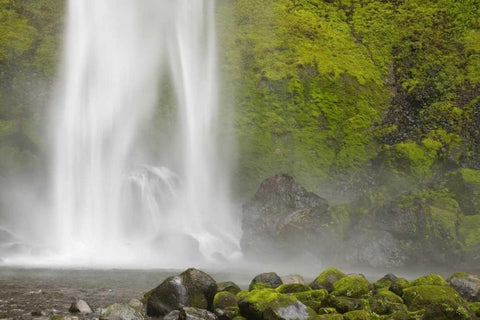 Oregon, Columbia River Gorge Elowah Falls White Modern Wood Framed Art Print with Double Matting by Paulson, Don