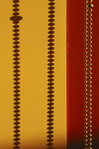 OR, Portland Sunlight on brass pull chain Black Ornate Wood Framed Art Print with Double Matting by Terrill, Steve