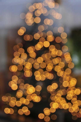 OR, Portland Lights on holiday Christmas tree White Modern Wood Framed Art Print with Double Matting by Terrill, Steve