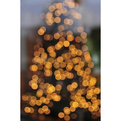 OR, Portland Lights on holiday Christmas tree Black Modern Wood Framed Art Print by Terrill, Steve