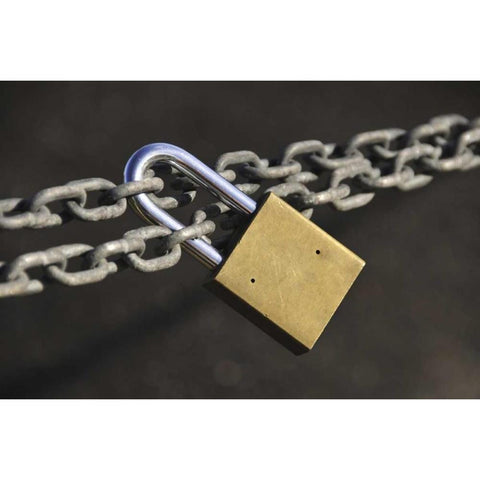 Oregon, Portland Close-up of padlock on chain Black Modern Wood Framed Art Print with Double Matting by Terrill, Steve