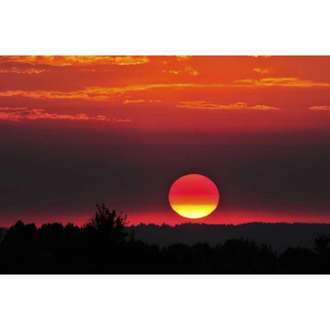 USA, Oregon, Portland Vivid red sunset Gold Ornate Wood Framed Art Print with Double Matting by Terrill, Steve