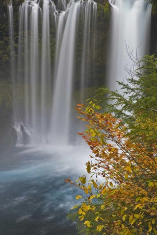 OR, Willamette NF Koosah Falls White Modern Wood Framed Art Print with Double Matting by Paulson, Don
