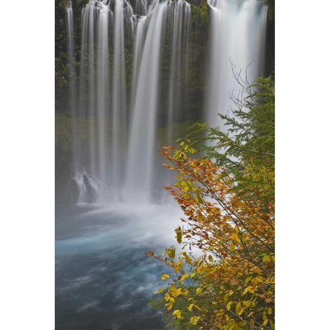 OR, Willamette NF Koosah Falls Black Modern Wood Framed Art Print by Paulson, Don
