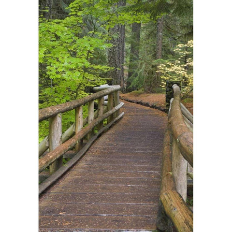 OR, Willamette NF Wooden foot bridge Gold Ornate Wood Framed Art Print with Double Matting by Paulson, Don