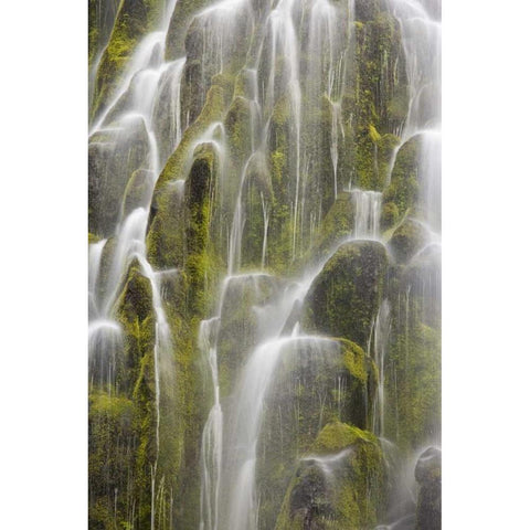 Oregon, Willamette NF View of Proxy Falls Black Modern Wood Framed Art Print by Paulson, Don
