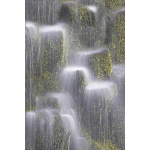 OR, Willamette NF Proxy Falls cascading water White Modern Wood Framed Art Print by Paulson, Don