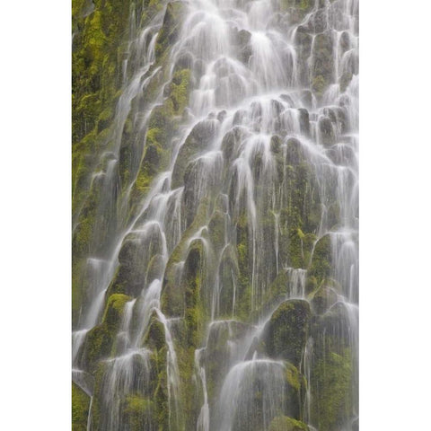 Oregon, Willamette NF View of Proxy Falls Black Modern Wood Framed Art Print by Paulson, Don