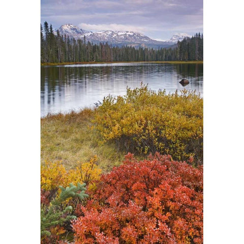 OR, Willamette NF Scott Lake and Three Sisters Gold Ornate Wood Framed Art Print with Double Matting by Paulson, Don