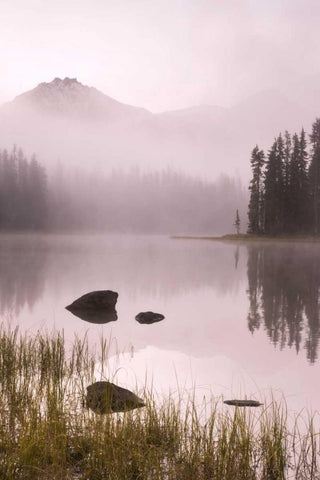 OR, Willamette NF Foggy sunrise on Scott Lake Black Ornate Wood Framed Art Print with Double Matting by Paulson, Don
