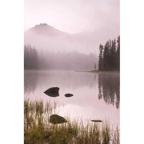 OR, Willamette NF Foggy sunrise on Scott Lake White Modern Wood Framed Art Print by Paulson, Don