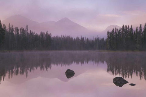 OR, Willamette NF Foggy sunrise on Scott Lake Black Ornate Wood Framed Art Print with Double Matting by Paulson, Don