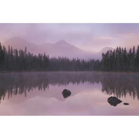 OR, Willamette NF Foggy sunrise on Scott Lake Gold Ornate Wood Framed Art Print with Double Matting by Paulson, Don