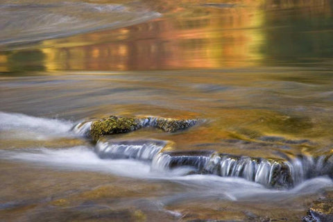 OR, Rogue River NF Autumn reflections White Modern Wood Framed Art Print with Double Matting by Paulson, Don