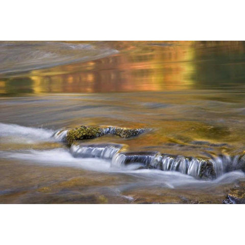 OR, Rogue River NF Autumn reflections White Modern Wood Framed Art Print by Paulson, Don