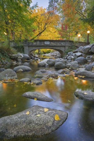 OR, Lithia Park Autumn reflects in Ashland Creek White Modern Wood Framed Art Print with Double Matting by Paulson, Don