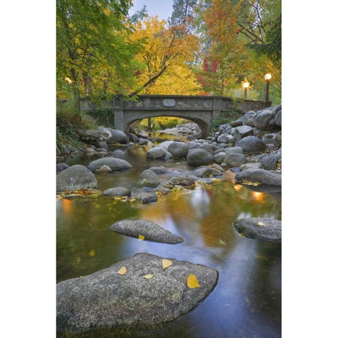 OR, Lithia Park Autumn reflects in Ashland Creek Black Modern Wood Framed Art Print by Paulson, Don