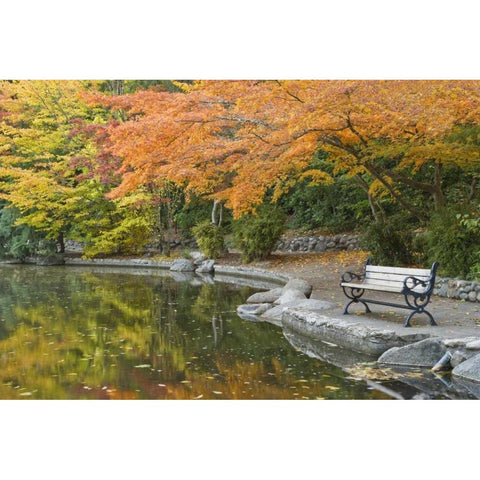 OR, Lithia Park Walkway bench next to pond Black Modern Wood Framed Art Print by Paulson, Don