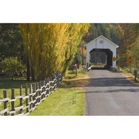 Oregon, Lake Creek Nelson Mountain Bridge Black Modern Wood Framed Art Print with Double Matting by Paulson, Don