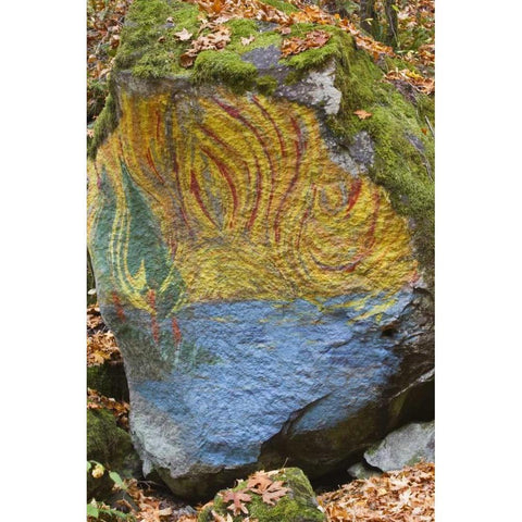 Oregon, Lake Creek Close-up of painted boulder Black Modern Wood Framed Art Print by Paulson, Don